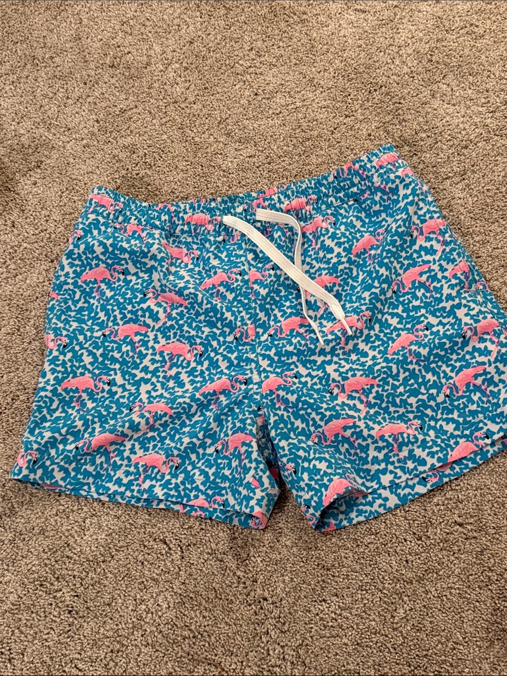 chubbies Pink Lined Swim Trunks with Teal Patterned Waistband